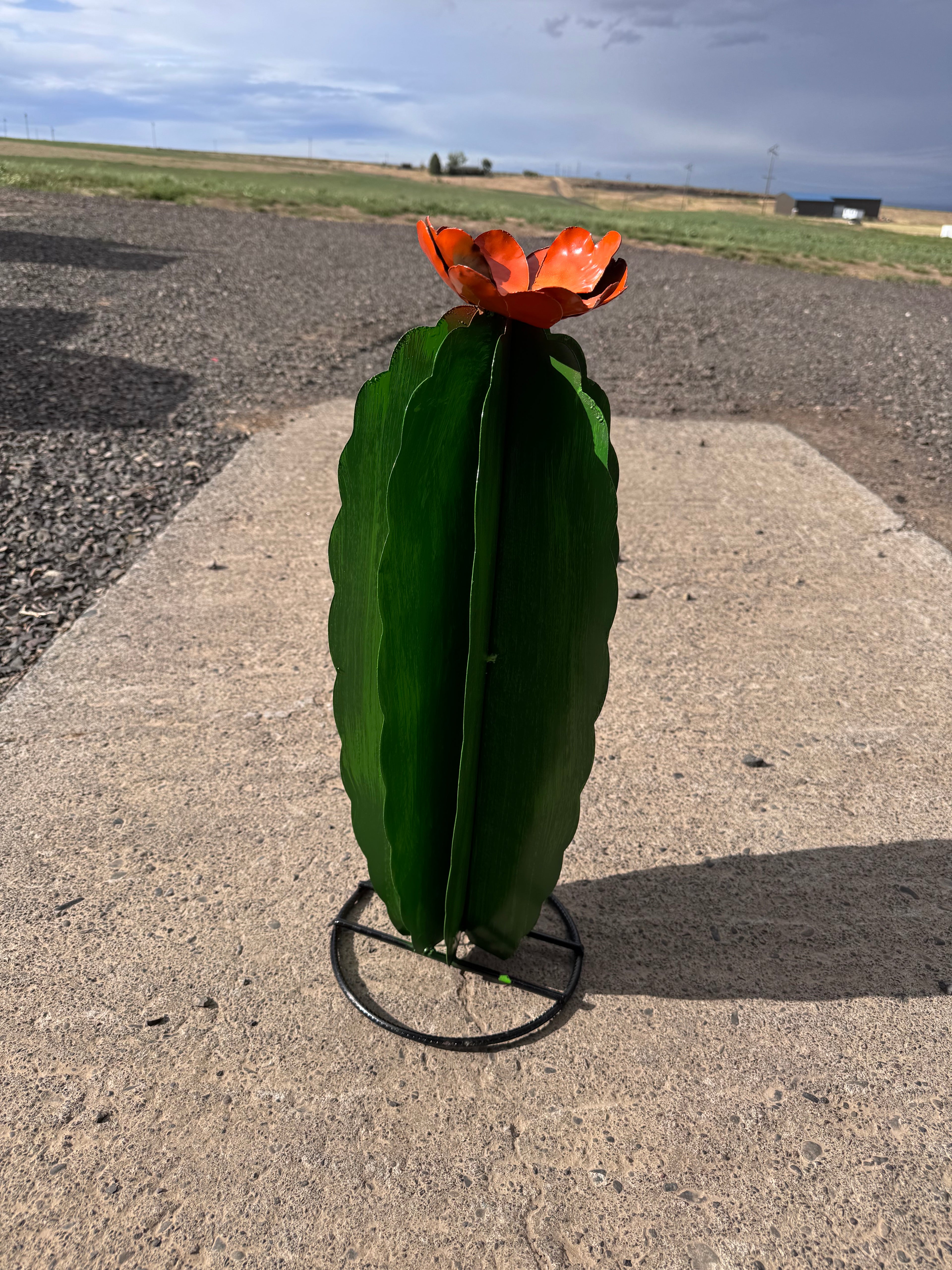 Metal 22 inch cactus
