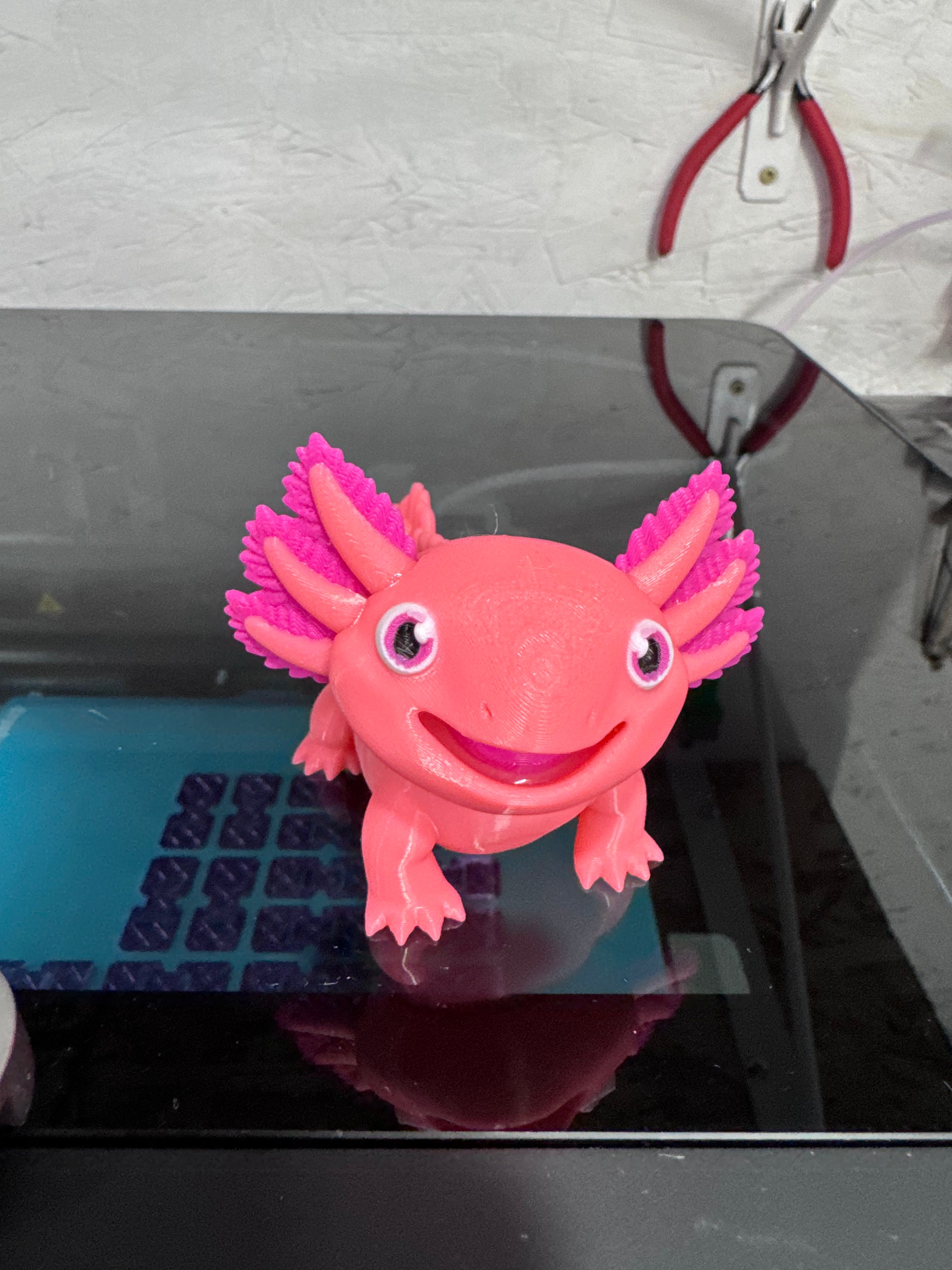 3D Axolotl Fidget toy