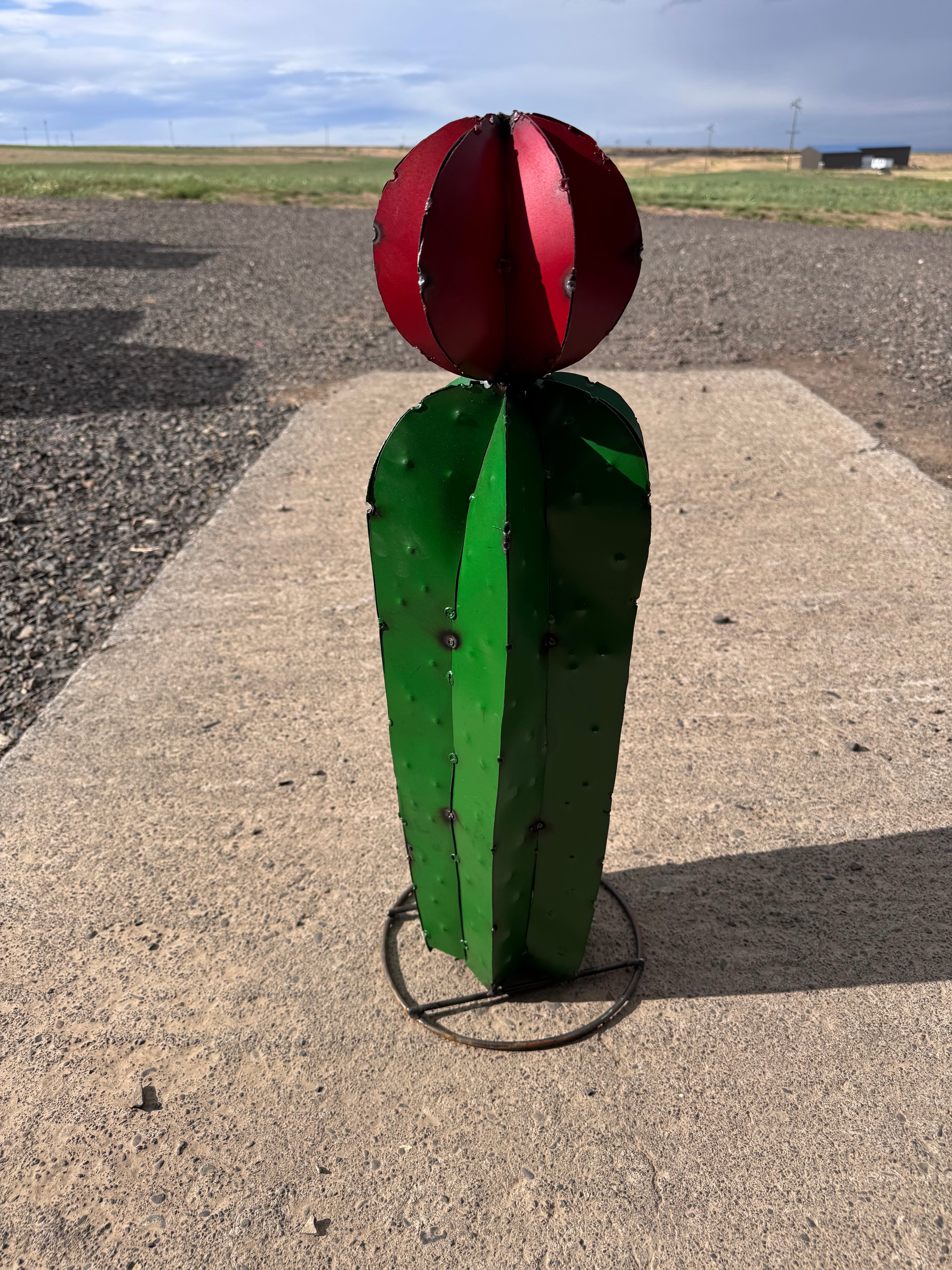 Metal 25 inch cactus