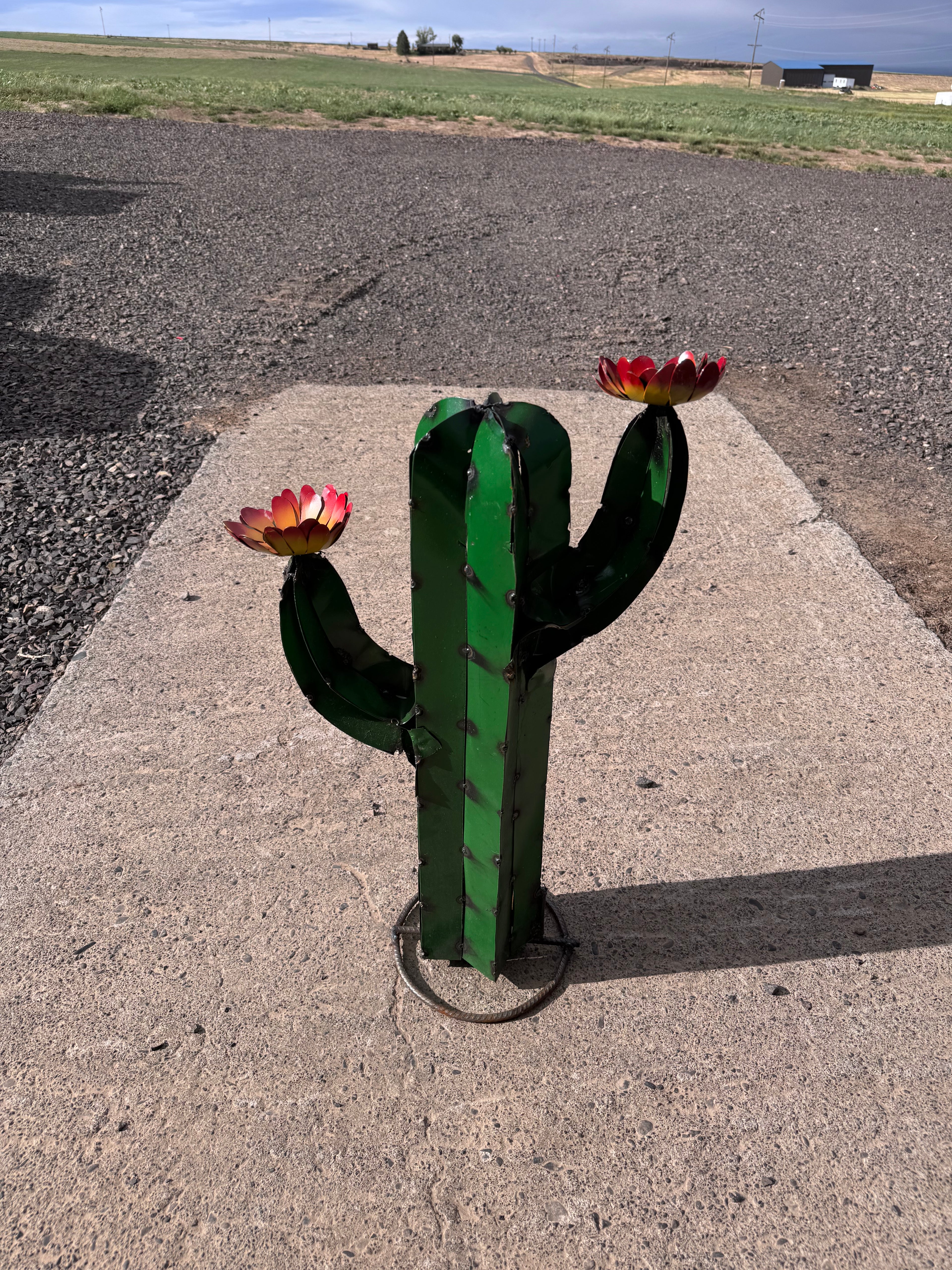 Metal 25 inch small cactus dark green