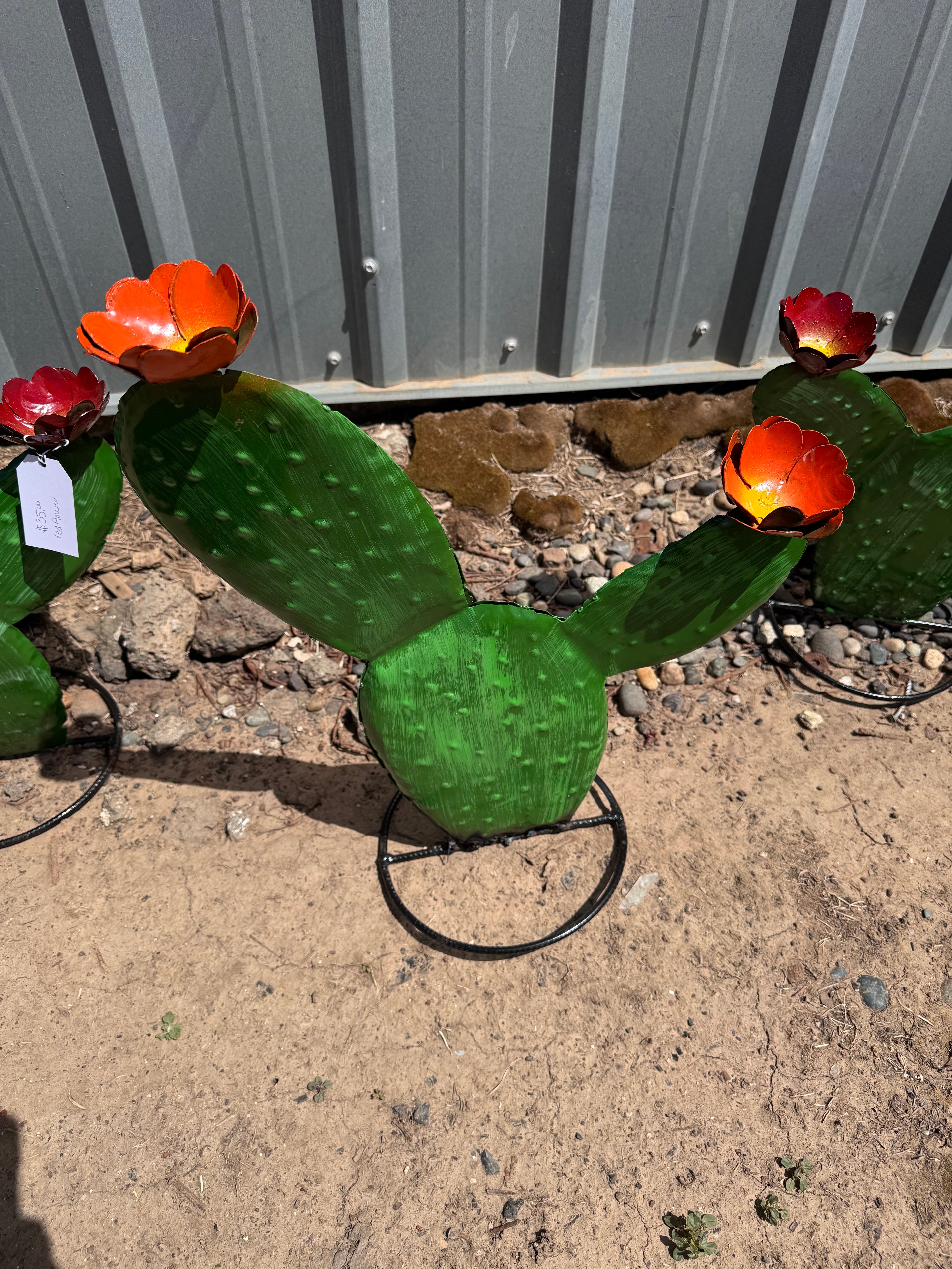 20 inch orange flower cactus