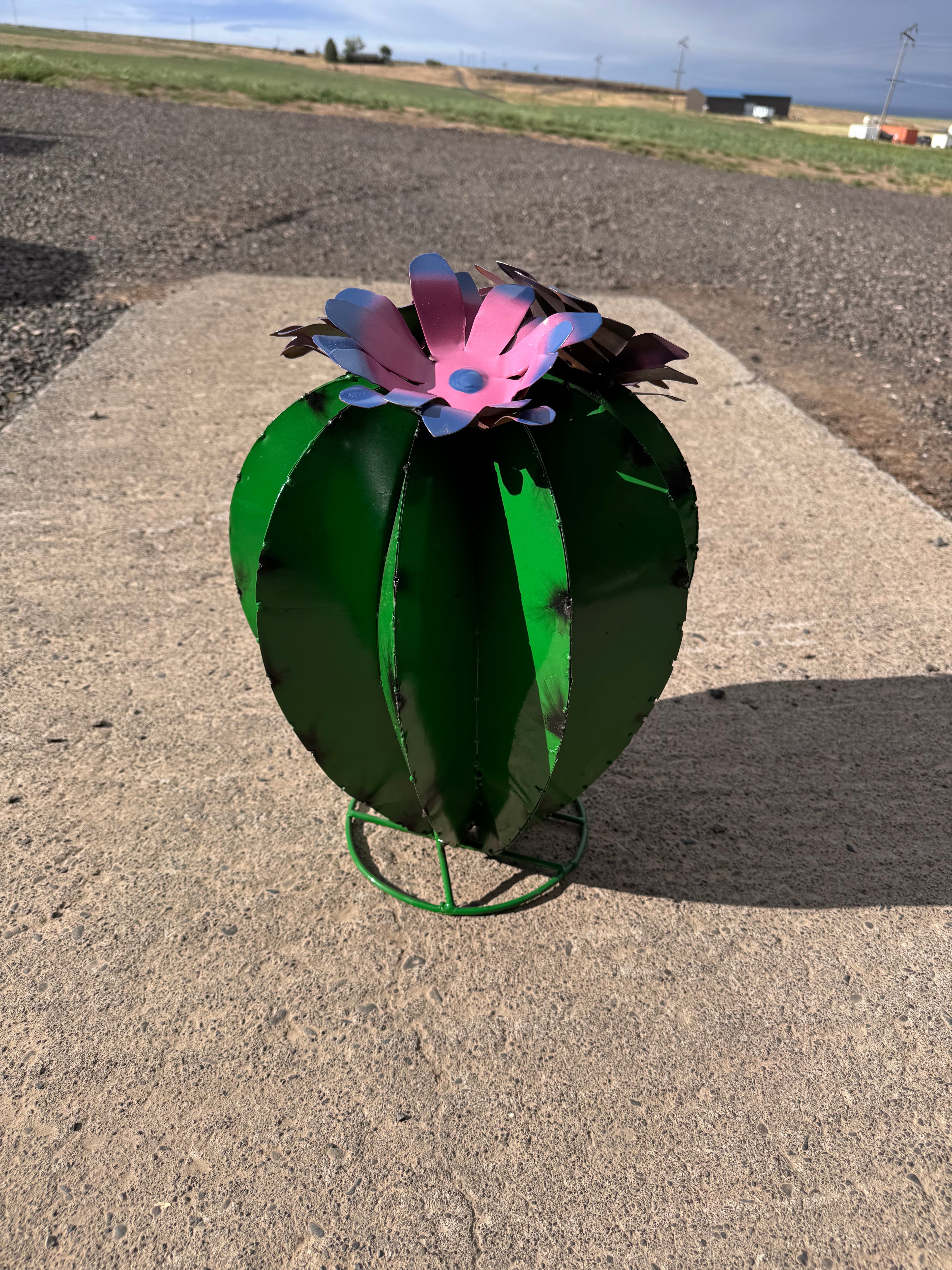 Metal 16 inch round dark green cactus