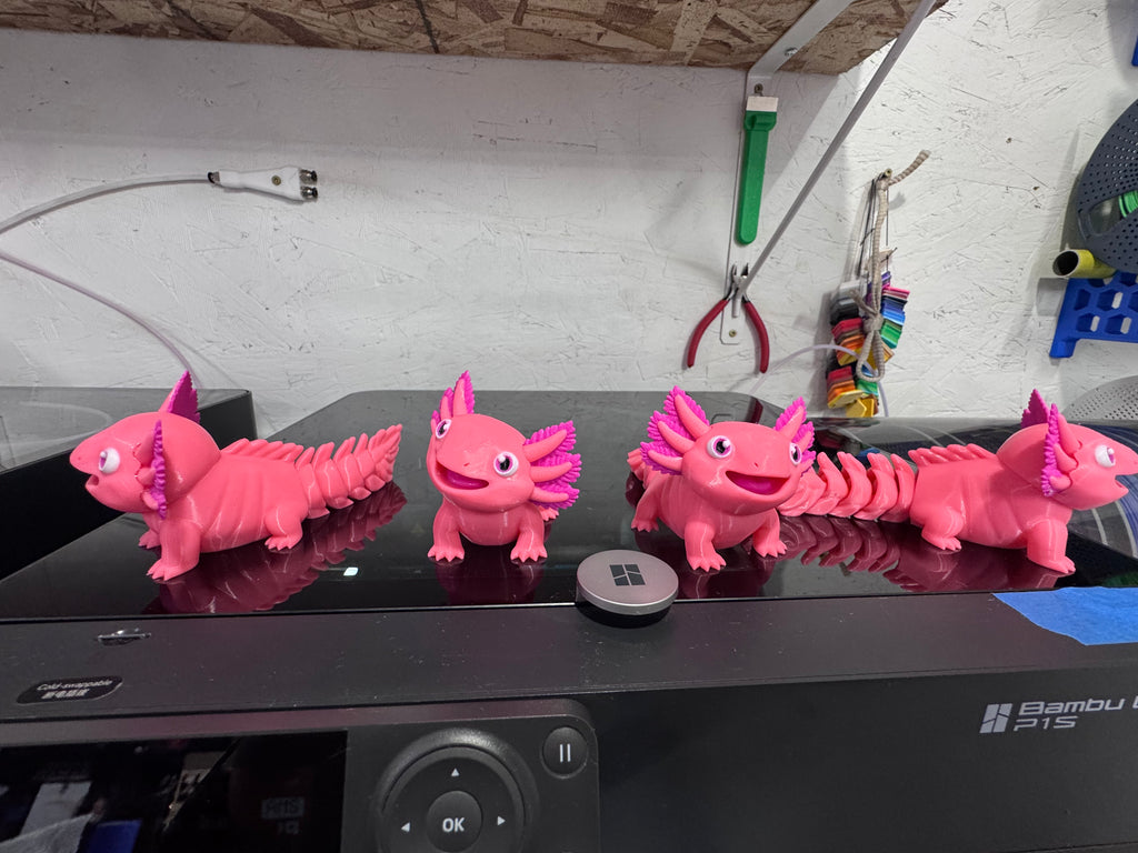 3D Axolotl Fidget toy