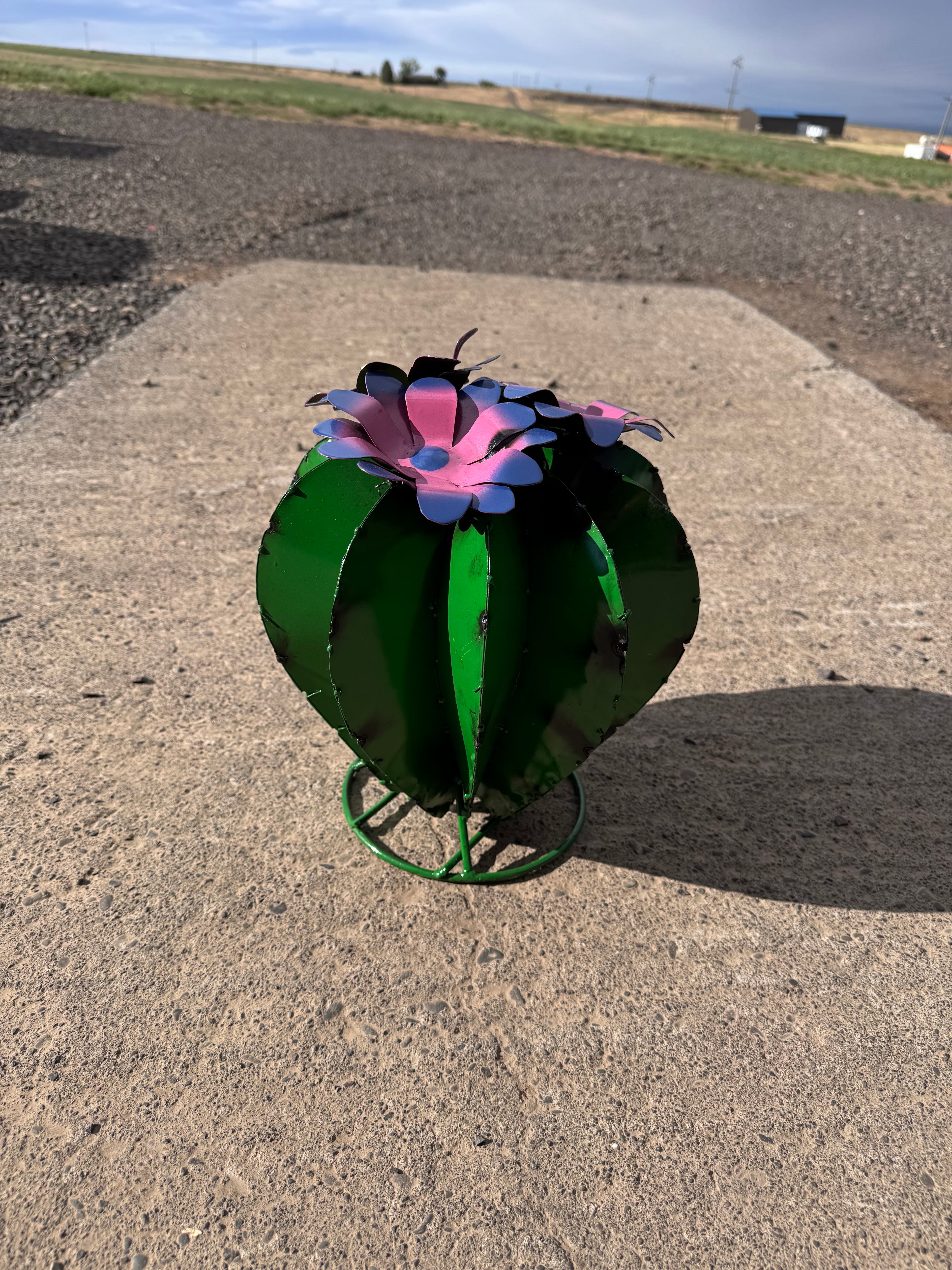 Metal 12 inch dark green round cactus