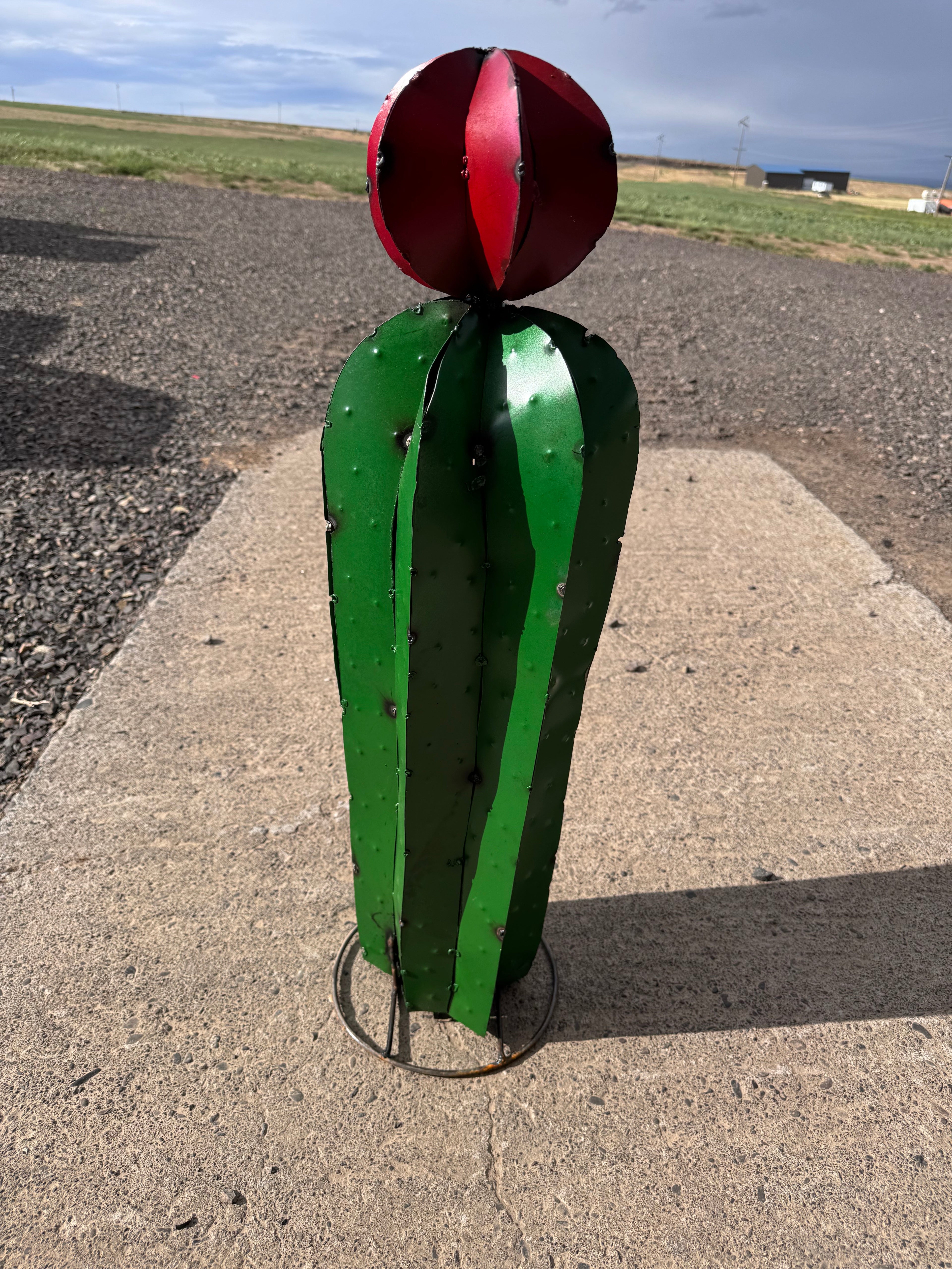 Metal 32 inch cactus