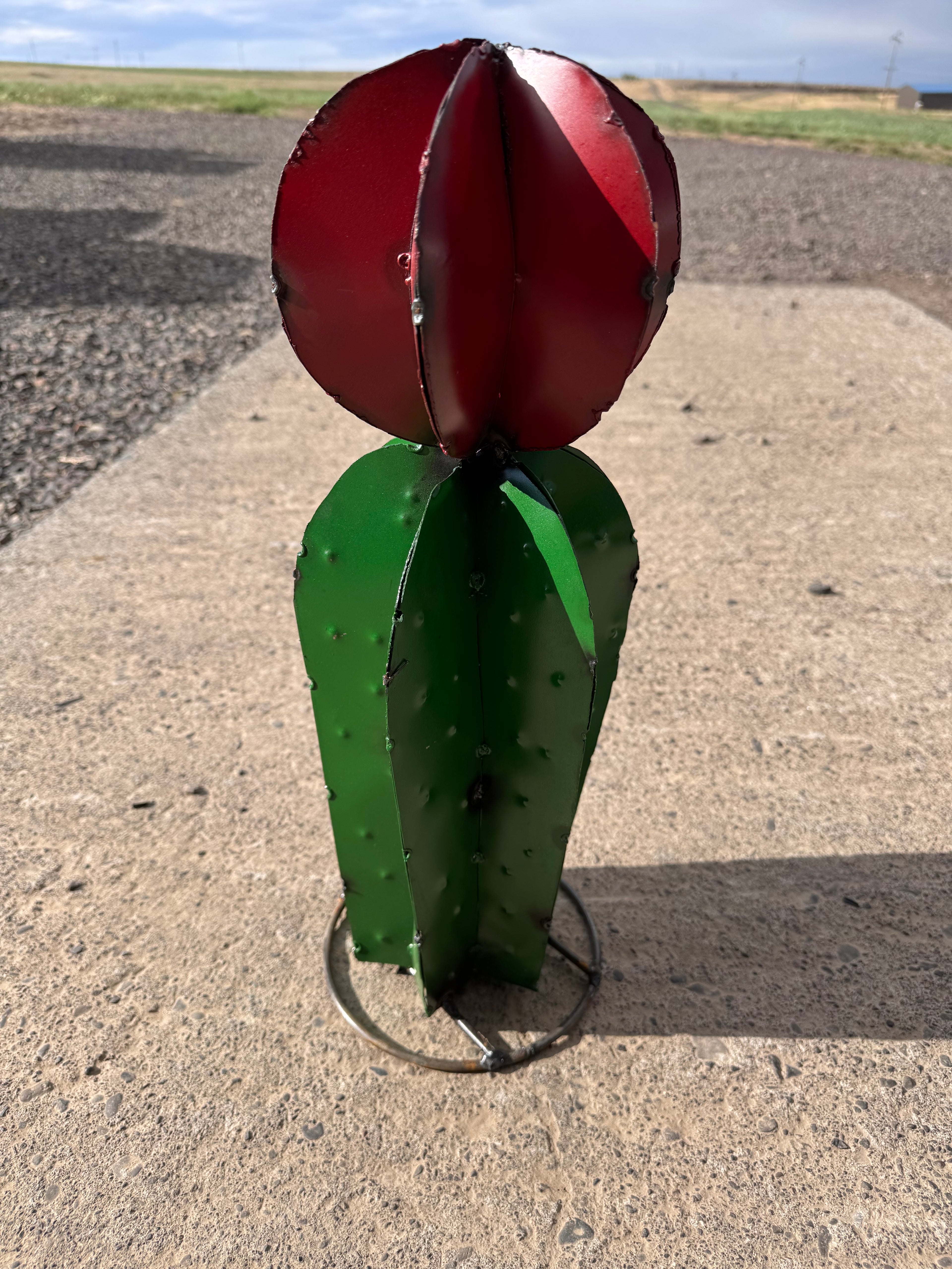 Metal 19 inch cactus