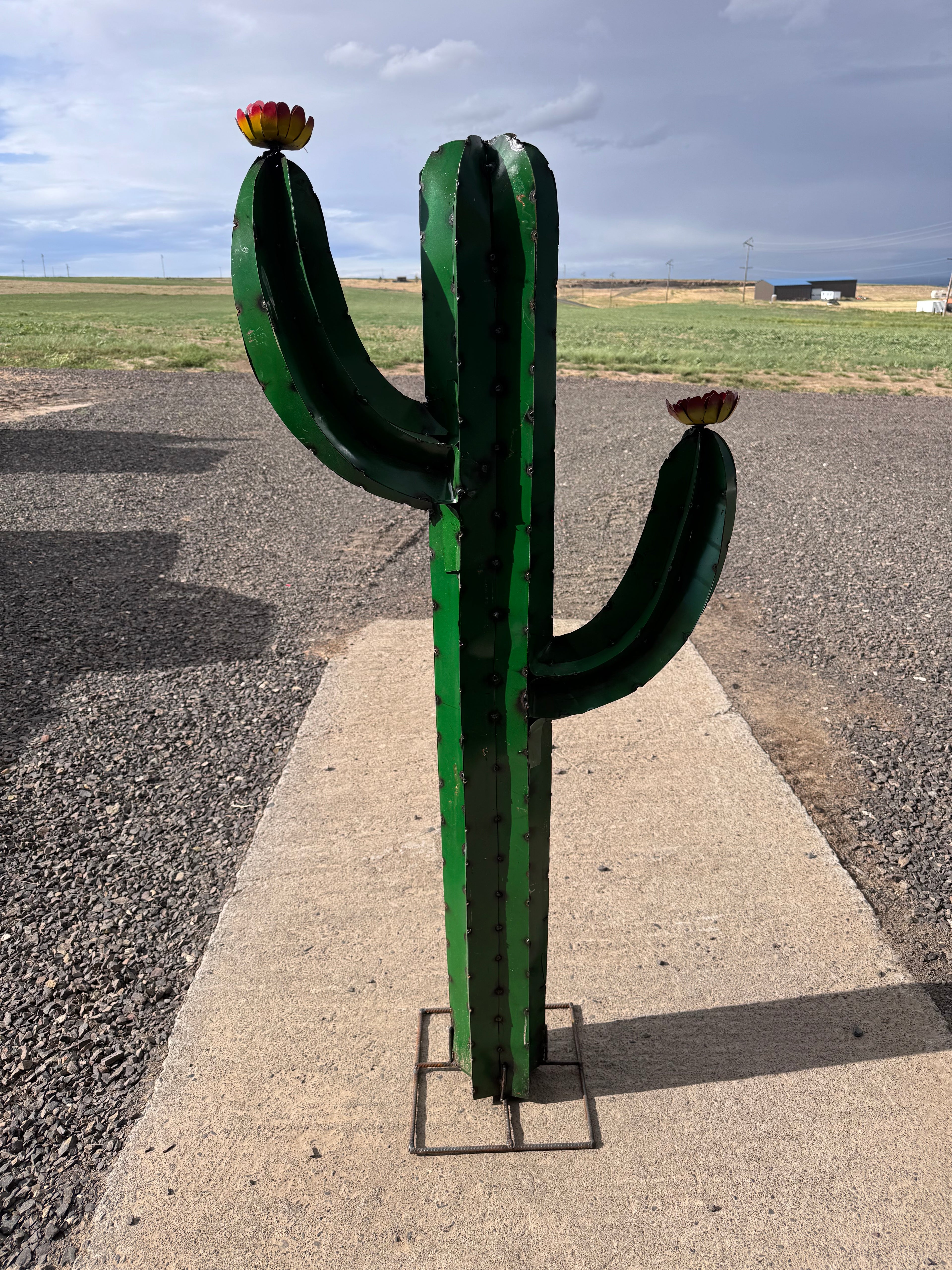 Metal 62 inch dark green cactus