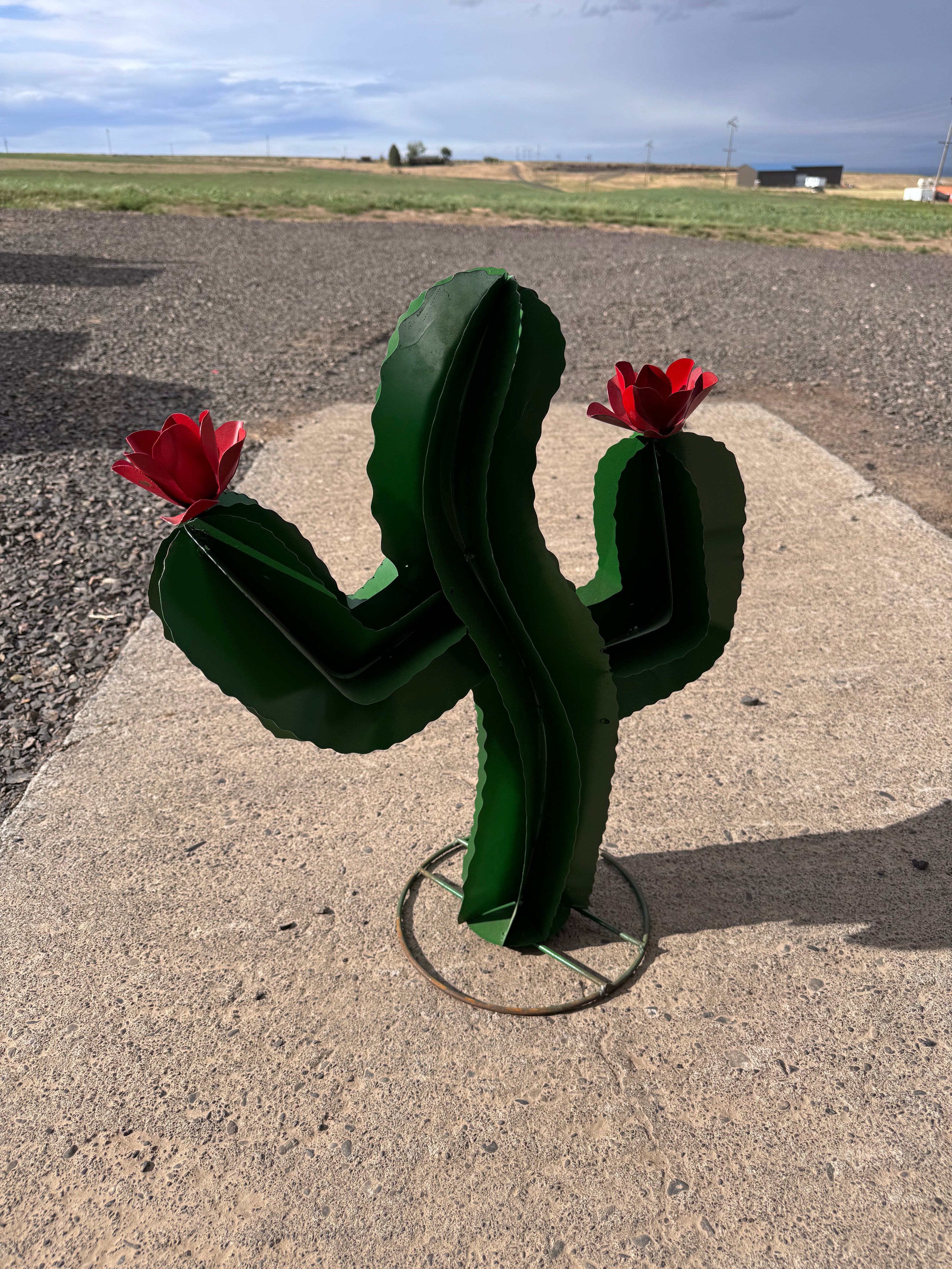 Metal 24 inch dark green squiggle cactus