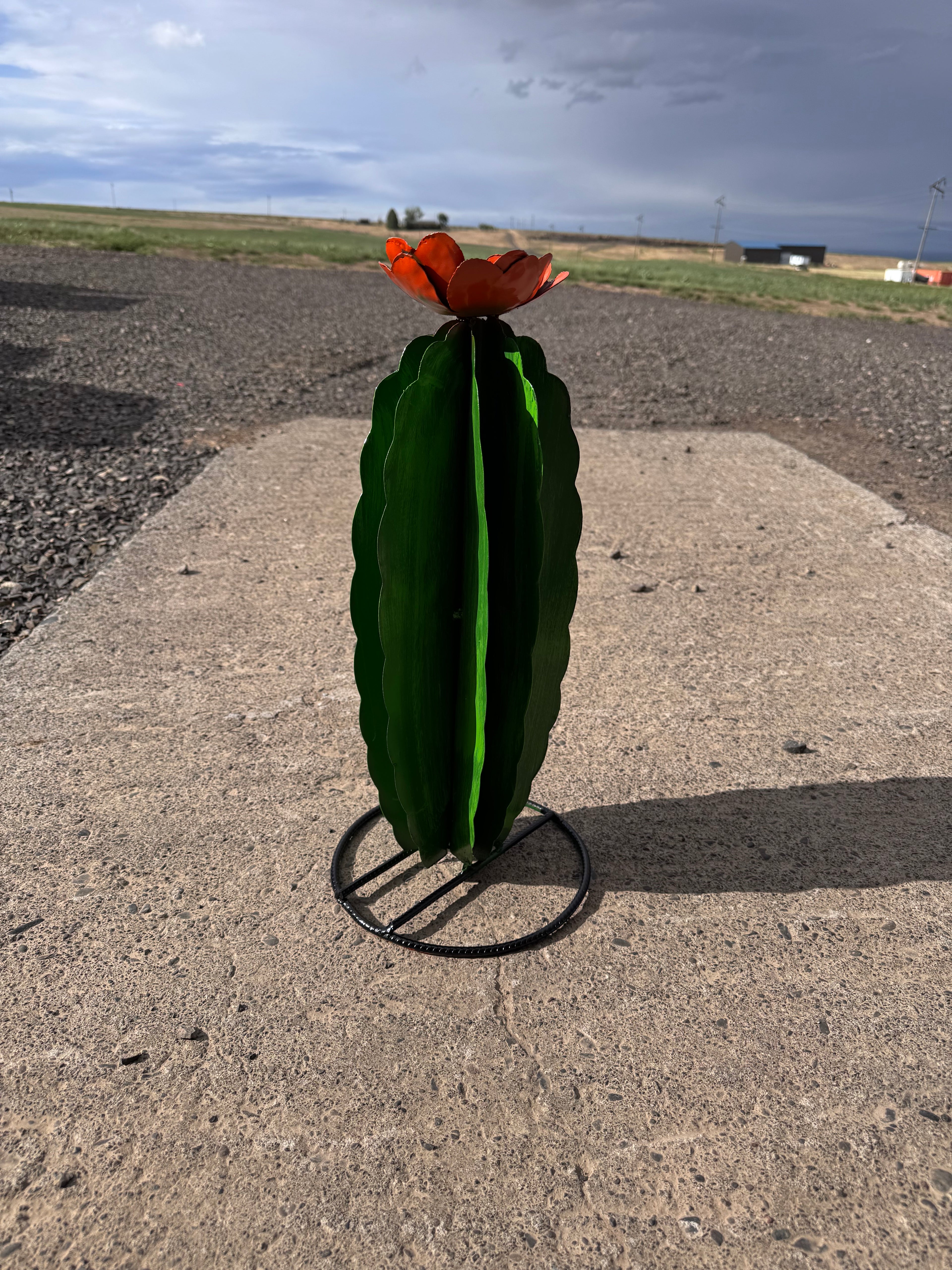Metal 19 inch cactus
