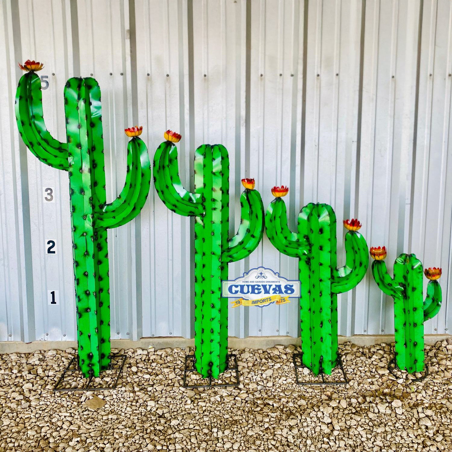 50 inch green cactus