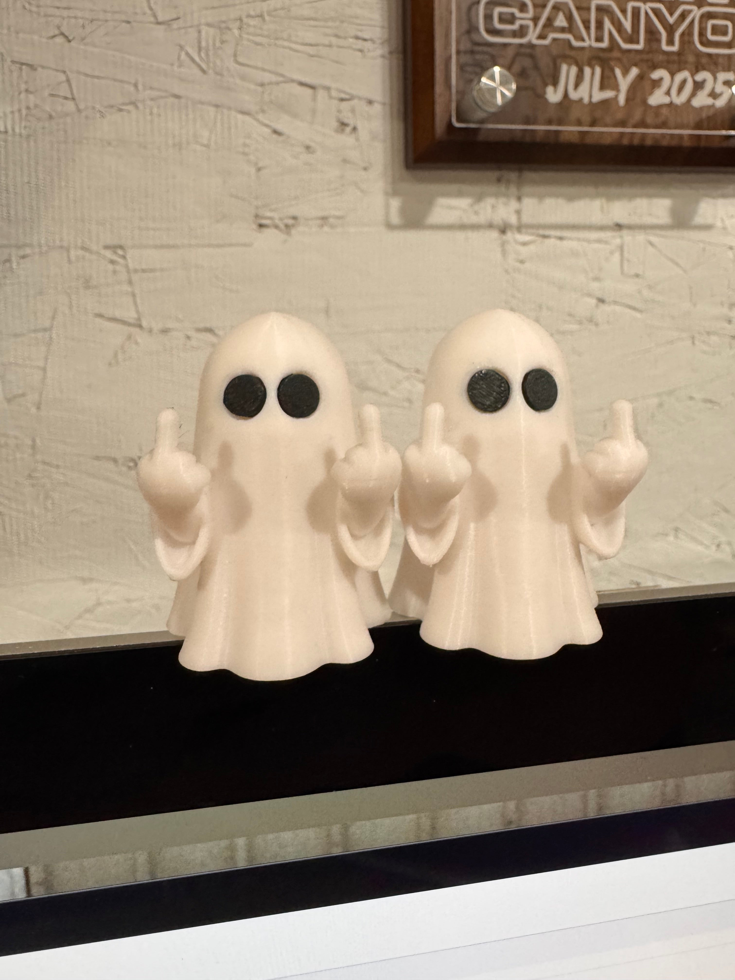 Vulgar ghosts